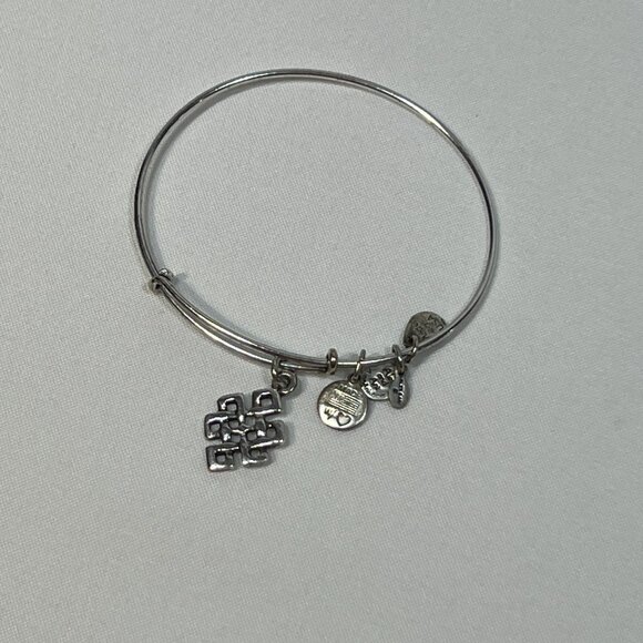 Alex and Ani Silver Endless Knot Charm Bangle Bracelet - Picture 3 of 5